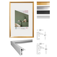 Desire kunststof frame 010X015 GOUD