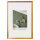 Desire kunststof frame 010X015 GOUD