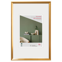 Desire kunststof frame 020X030 GOUD