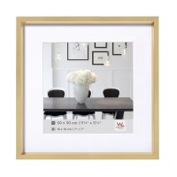 Stalen kunststof frame 040X040 GOUD