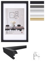 Kunststof frame in stalen stijl 018X024 GOUD